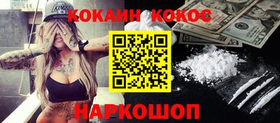 шишки Дубна
