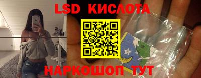 шишки Дубна