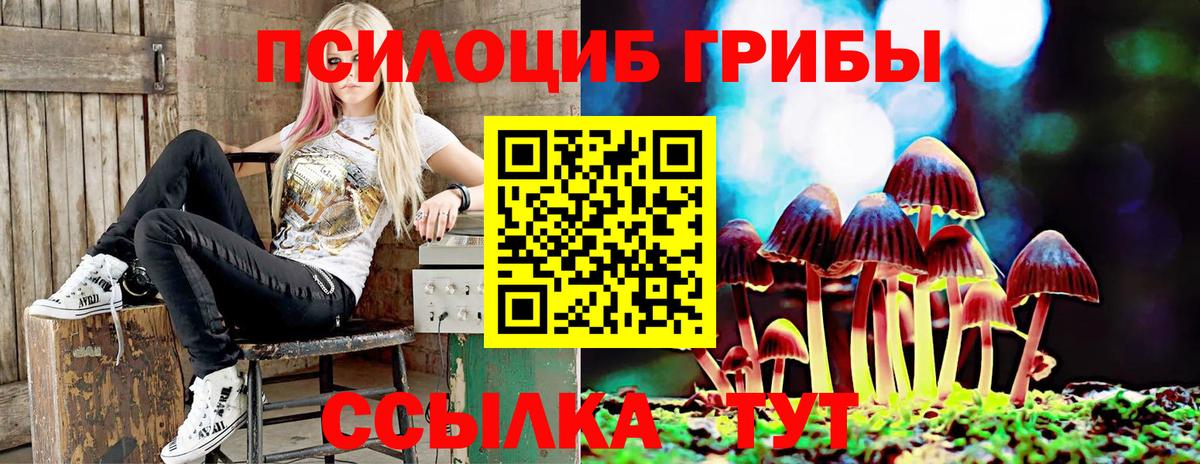 Галлюциногенные грибы GOLDEN TEACHER Заречный