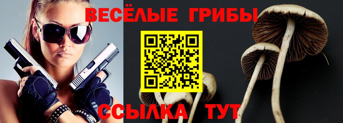 Заречный  Псилоцибиновые грибы прущие грибы  Вход с VPN 